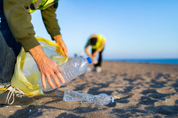istock Two volunteers taking out garbage from the beach 1456010557