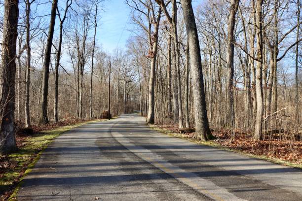 istock Street in the Countryside 1456011437