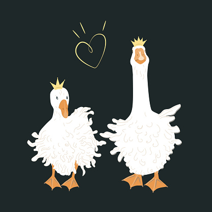 Couple of cute Sebastopol goose in crowns. Cartoon fantasy bird couple. Vector illustration