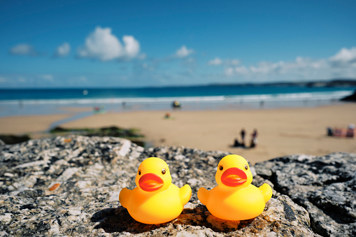 Two rubber ducks on Holiday in Newquay, Cornwall. Sat on a wall overlooking Towan Beach on a bright June day.