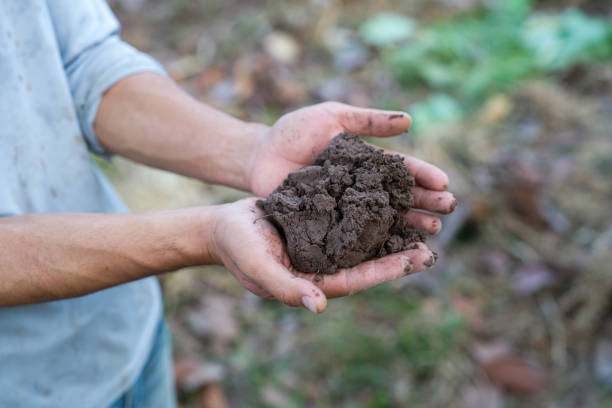 istock Hand holding soil with nature background. 1456013577