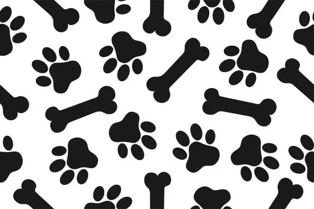 Vector illustration of Background with animal paw prints and a bone. Vector illustration in a flat style
