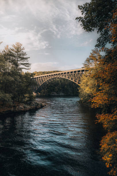 istock Bridge over the river in an autumn forest during sunset 1456018689