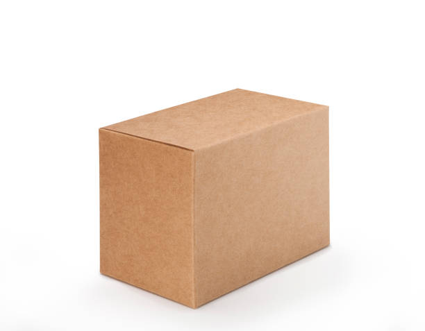 istock Brown box isolated on white background with clipping path, Blank cardboard mockup vector illustration. 1456019809
