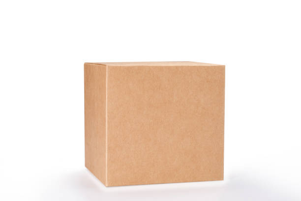 istock Brown box isolated on white background with clipping path, Blank cardboard mockup vector illustration. 1456019820