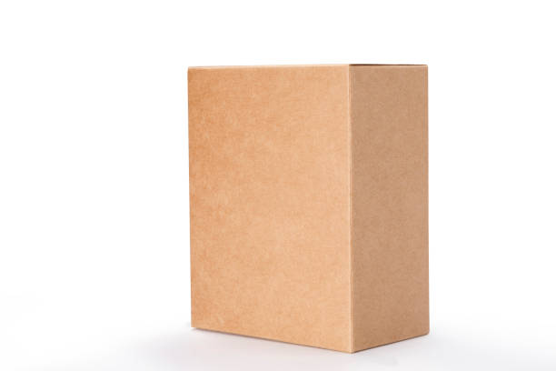 istock Brown box isolated on white background with clipping path, Blank cardboard mockup vector illustration. 1456019839