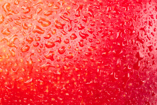 istock Delicious ripe mango detail with green studio shot. 1456020055