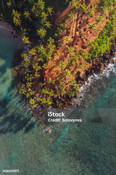 Famous Coconut Tree Hill Aerial Top View Photo With A Beautiful Natures Landmark In Mirissa Matara District On Sri Lanka Exotic Asian Countries And Around The World Traveling Concept Stock Photo - Download Image Now