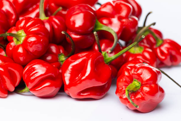 Fresh green Habanero Pepper on white background.Close-Up of Habanero epper Against White Background