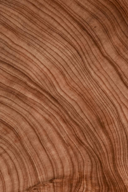 istock Wood plank to use as background and texture. 1456022958