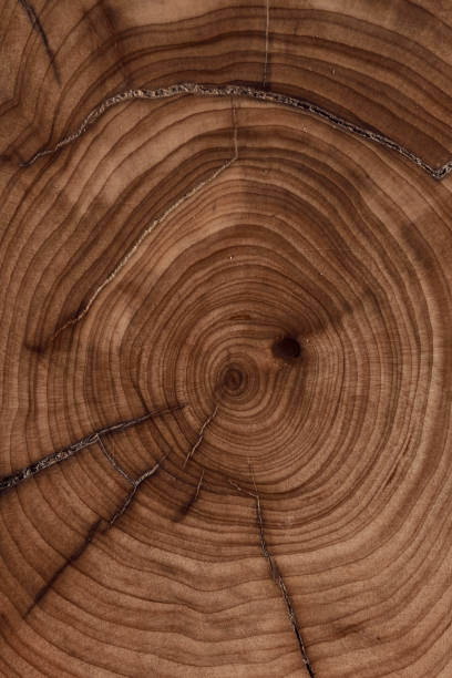 istock Wood plank to use as background and texture. 1456024150