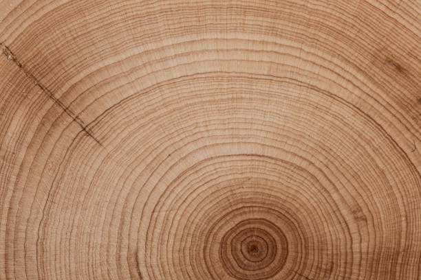 istock Closeup on sample of wooden surface. 1456024298