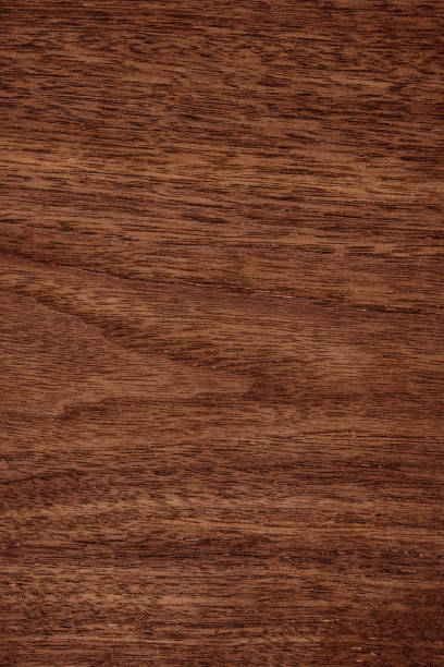 istock Closeup on sample of wooden surface. 1456024351