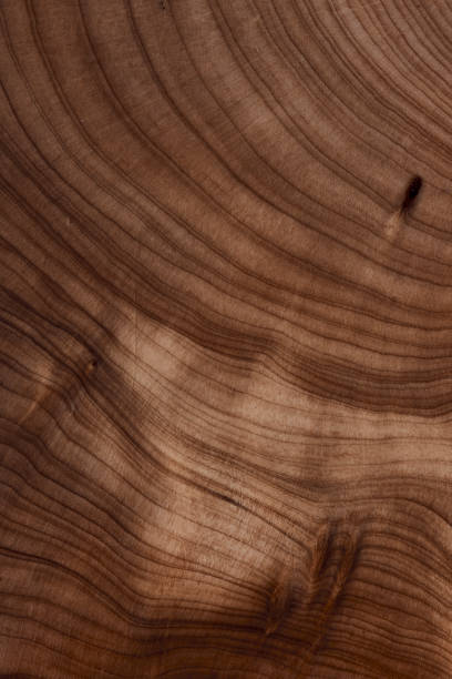 istock Dark wood texture. background retro panels. 1456024389