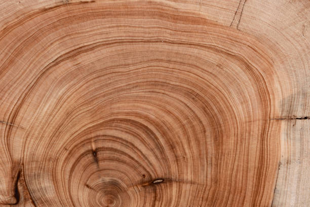 istock Dark wood texture. background retro panels. 1456024395