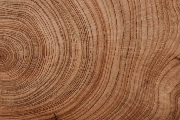 istock Fragment of the texture of the nature abstract pattern sheet. 1456024509