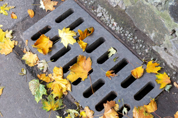 istock Drainage manhole grate with yellow leaves 1456029268