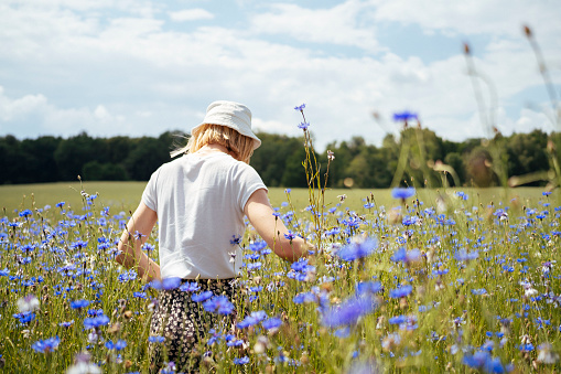 A young woman stands in a beautiful field of blue cornflowers, taking in the natural beauty of the meadow on a sunny summer day.