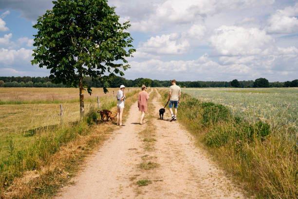 istock Three people and two dogs enjoying a stroll in a rural landscape 1456029506