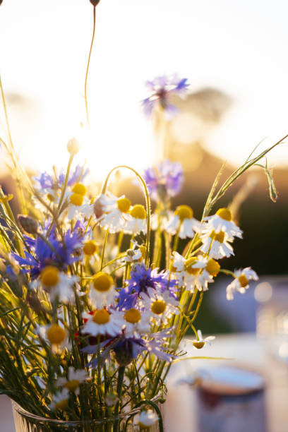 istock Bouquet of wildflowers in a sunset setting 1456029515