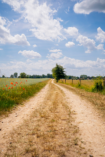 A curving, quiet road in the rolling countryside of the Scottish Borders.