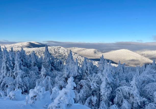 istock Mont tremblant ski slopes with snow covered trees 1456029640