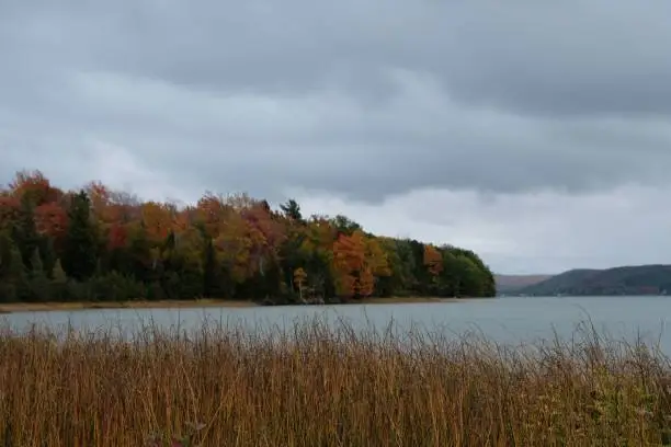 Photo of Landscape view of the colorful autumn trees surrounding the lake on a clouded day
