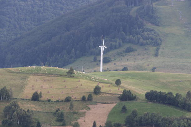 istock Wind mill in mountain valley, sheep on slope, forest 1456039391