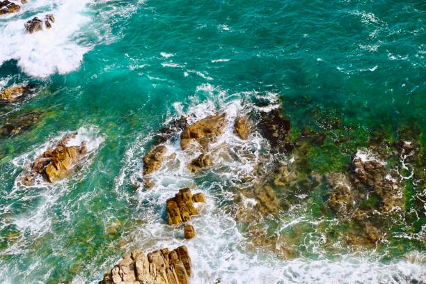 istock Closeup of a rocky coastline 1456042831