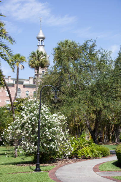 istock Tampa City Public Park Nature 1456044096