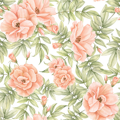 Seamless Pattern with Rose Flowers and leaves. Hand drawn floral background. Illustration for wallpaper or fabric design on isolated background. Botanical ornament in pastel peach and rose colors.