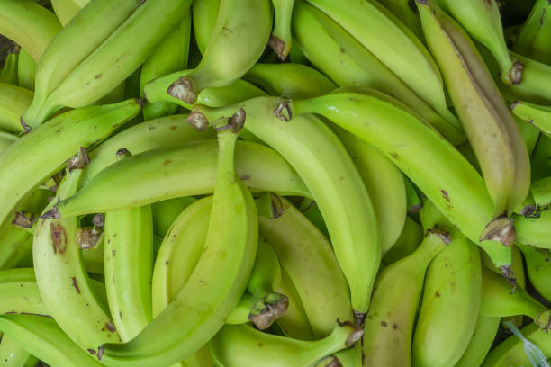 istock Group of green bananas for sale 1456045438