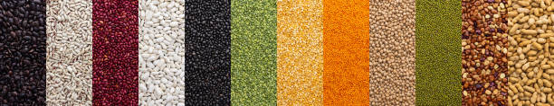 istock Banner of different types of legumes 1456048729