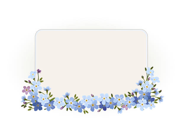 illustrations, cliparts, dessins animés et icônes de carte vierge avec oublie-moi pas de fleurs,
carte pour la fête des mères, anniversaire, saint-valentin, mariage et plus encore,
illustration vectorielle isolée sur fond blanc - forget me not flower flower head blue