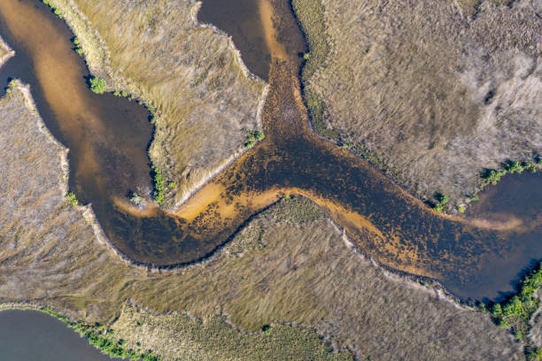 istock Estuary and Wetlands - Drone View 1456052385