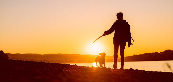 a woman with a dog on the riverbank enjoys the sunset. High quality photo