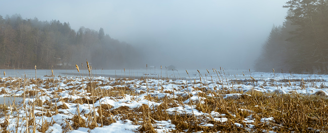 Winter snowy hill with forest and blue sky. The fog is in the background.