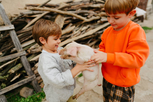 istock Taking care of our piggy 1456057890