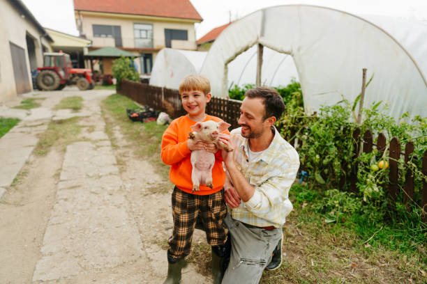 istock Taking care of our piggy 1456057951