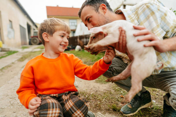 istock Taking care of our piggy 1456058584