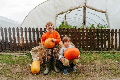 Two multi-ethnic 5 year old boys playing together in a pumpkin patch. They are looking up at the camera, smiling.