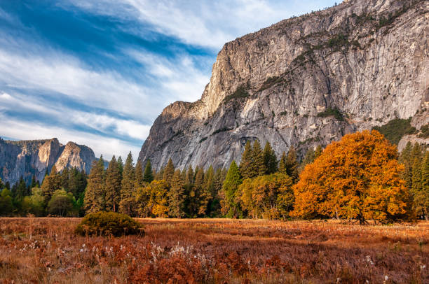istock Yosemite Valley in California 1456065130