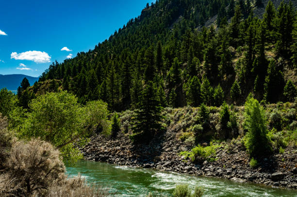 istock Montana USA rushing river in scenic nature 1456066039