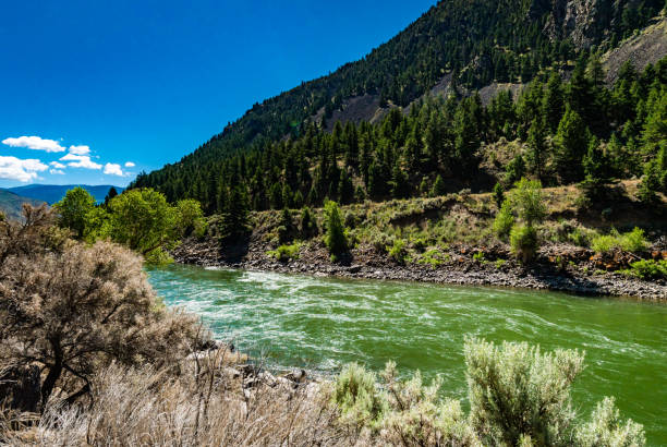 istock Montana USA rushing river in scenic nature 1456066098