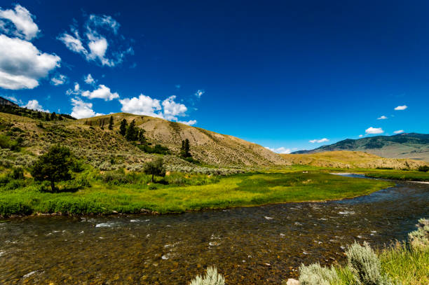 istock Montana USA rushing river in scenic nature 1456066207
