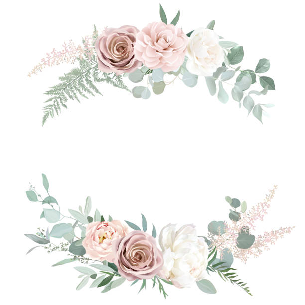 Silver sage and blush pink flowers vector round frame. Creamy beige and dusty rose, ranunculus Silver sage and blush pink flowers vector round frame. Creamy beige and dusty rose, ranunculus, camellia, white peony, eucalyptus. Wedding floral. Pastel watercolor background. Isolated and editable pink flower frame stock illustrations