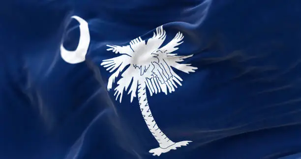Close-up of the South Carolina state flag. Blue field with white palmetto tree and crescent. US state. Rippled fabric. Textured background. Selective focus on the Palmetto. Realistic 3d illustration
