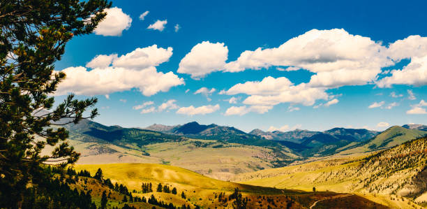 malownicza montana wychodzi na pasmo górskie i przyrodę - mountain montana mountain peak mountain range zdjęcia i obrazy z banku zdjęć