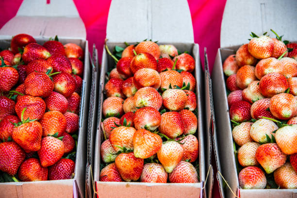 istock Strawberries in paper box 1456071542