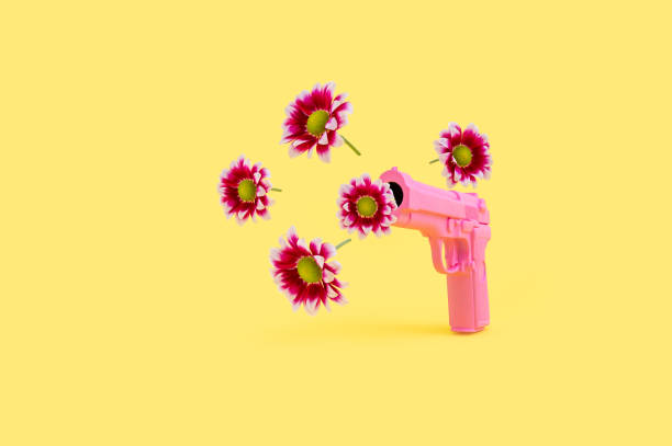 istock Gerberas coming out from a toy gun isolated on yellow background 1456074732
